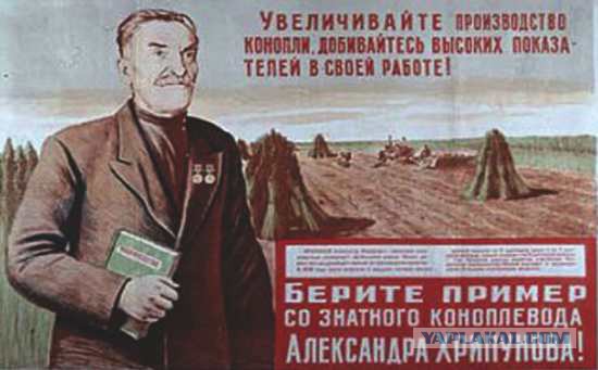 Конопляный штат