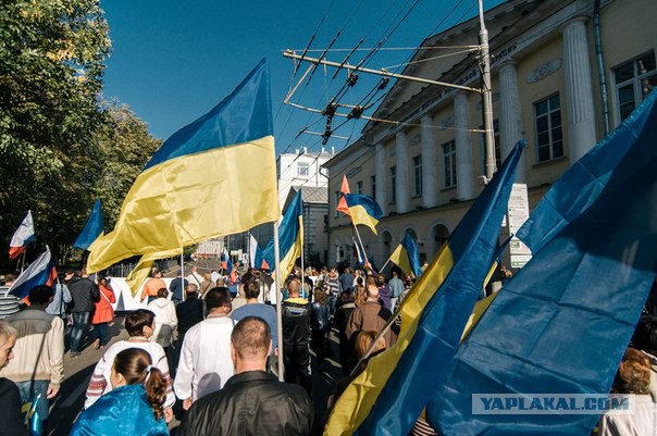 "Марш мира" в Москве отменен