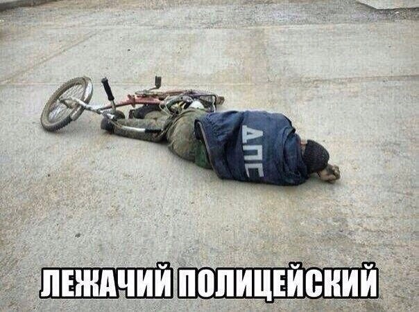 Веселые картинки