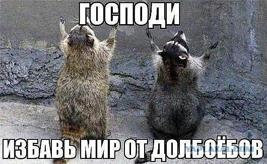 Аквапарк "Ривьера" г. Казань