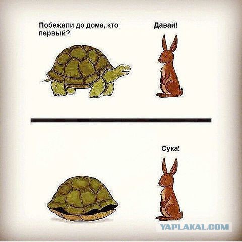 Весёлое из сети
