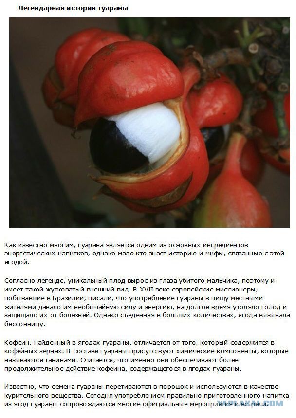 20 фактов обо всем