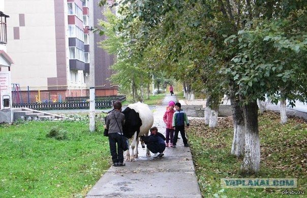 Это Россия, детка
