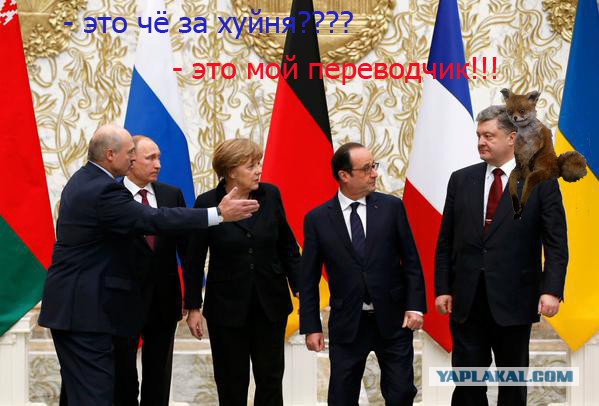 Предлагаю пожабить