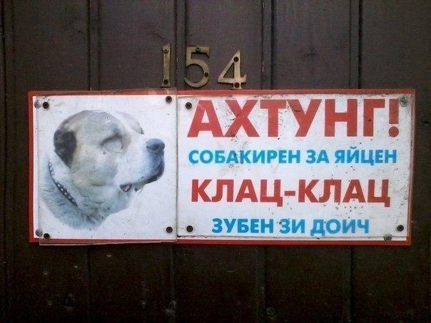 Подборка картинок