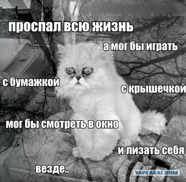 Тлен
