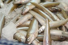 Какие продукты уникальны для Вашего региона?