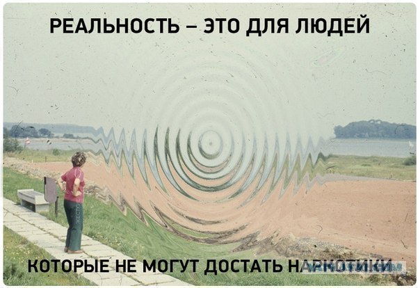 А ты упоротый?