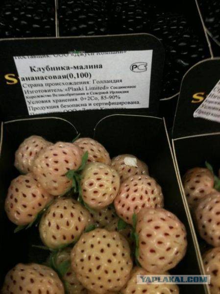 Картинки для настроения