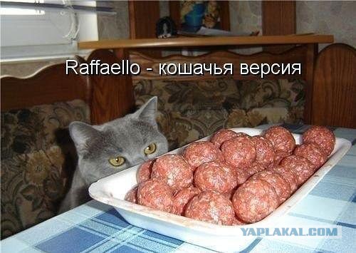 Картинки из инета