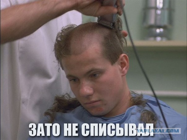 Приколы из сети