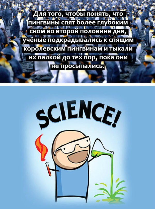 Картинки на пятницу