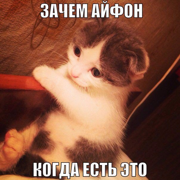 Веселые картинки