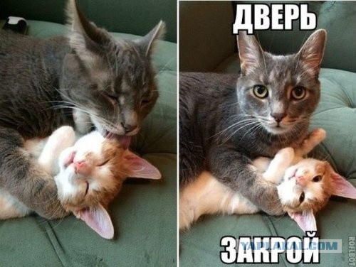 Новая подборка картинок