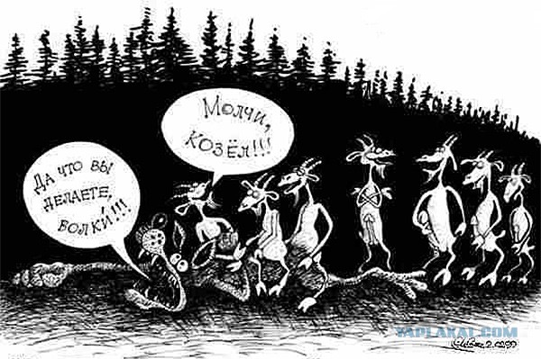 Никогда не пойте рядом со стаей хаски!