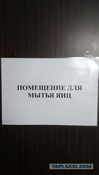 Свежая подборка картинок