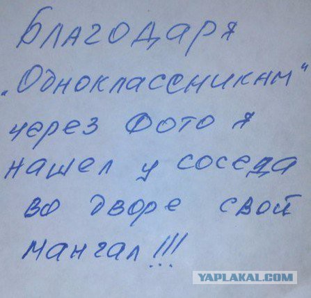 Смешные комментарии из социальных сетей 18.03.2016