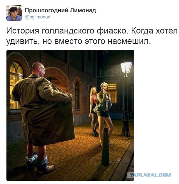 Известный аналитик о референдуме в Нидерландах