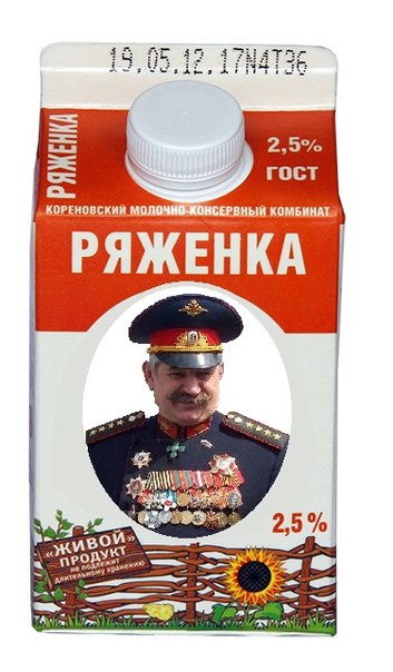 "Приёмка" казаков в Симферополе