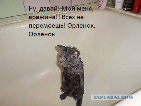 Подборка "баянов" со всего интернета
