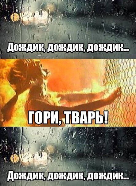 Подборка прикольных и веселых фото