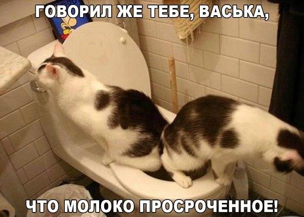Подборка интересных и смешных картинок