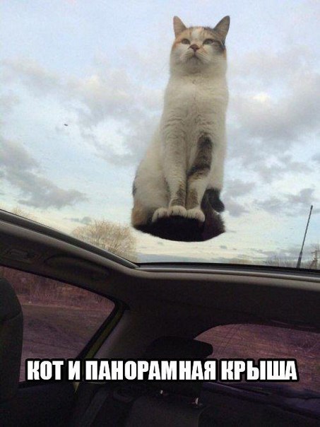 Картинки с этих ваших интернетов.