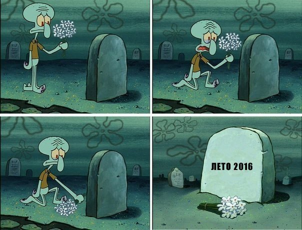 Картинки и приколы из сети