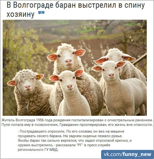 Смешные новости ч.3