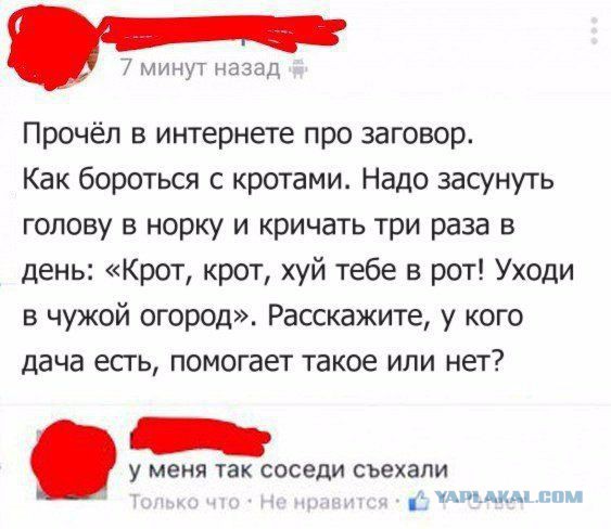 Адовый трэш и тупизм на начало недели