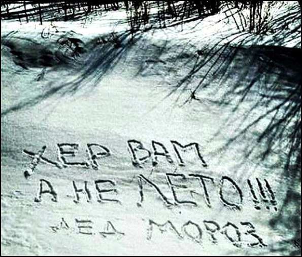 Хорошо в Питере в мае!