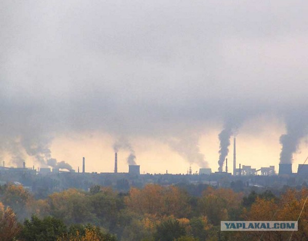 Вы все еще верите, что электромобили спасут Землю? Заказуха от "нефтяников"
