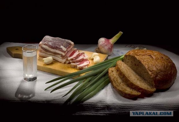 Шокированные иностранцы делятся