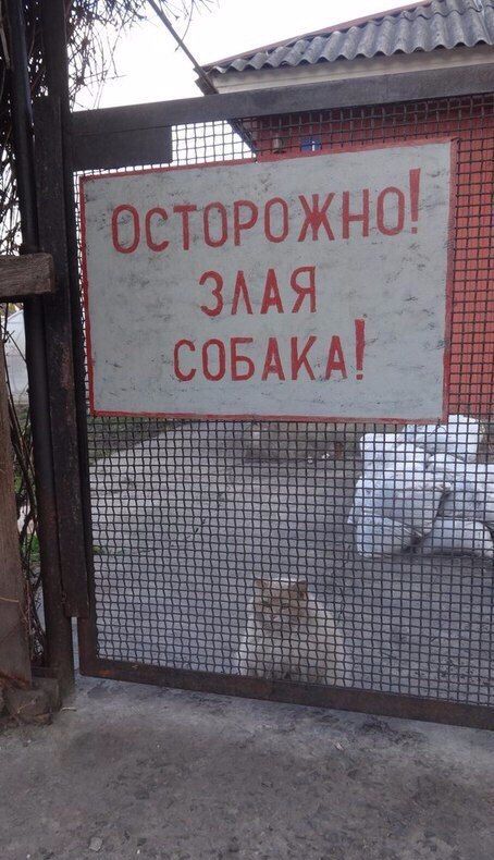 Смешные объявления, надписи и вывески