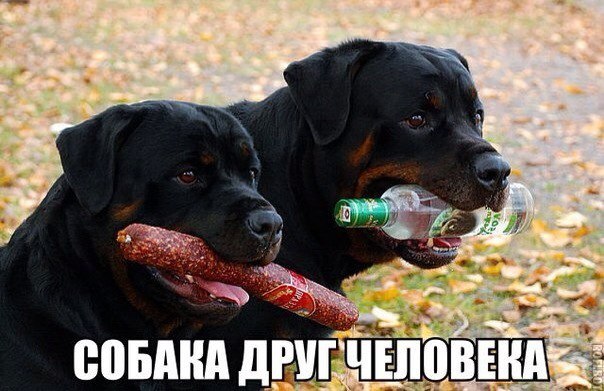 Алкопост на вечер этой пятницы