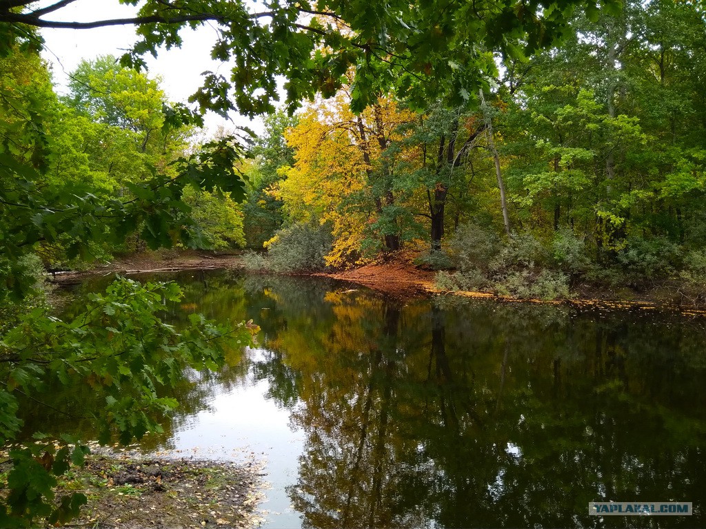 овраги в волгограде. урочище мокрый овраг бижбулякский район. арзамас ул. неизвестные места нижегородской области. овраг в арзамасе.