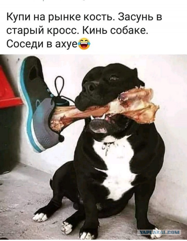 Подборка интересных и веселых картинок 08.11.18