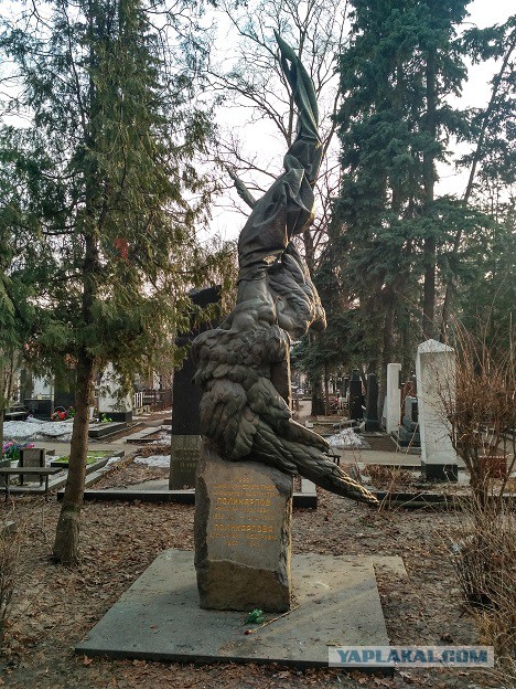 Новодевичье