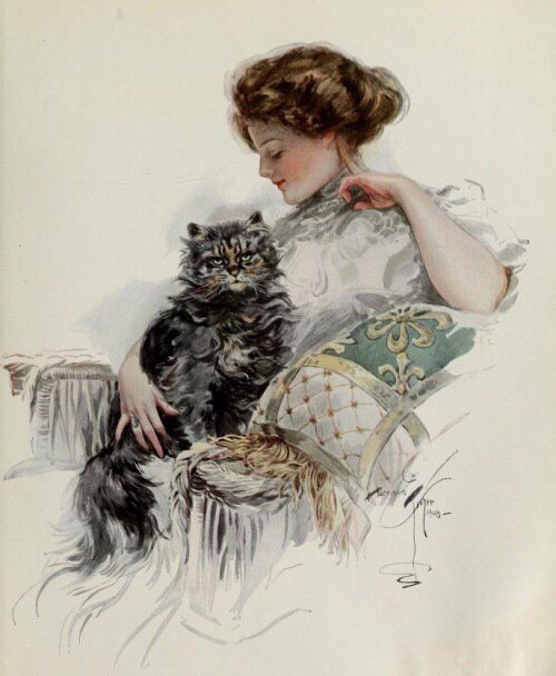 Рисованные киски