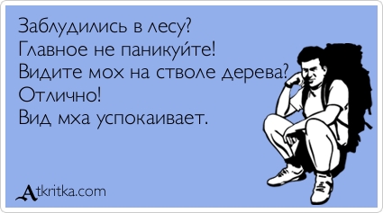 Учат в школе... или нет?
