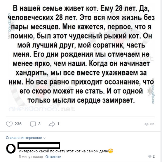 Чуток картинок 11.06.19