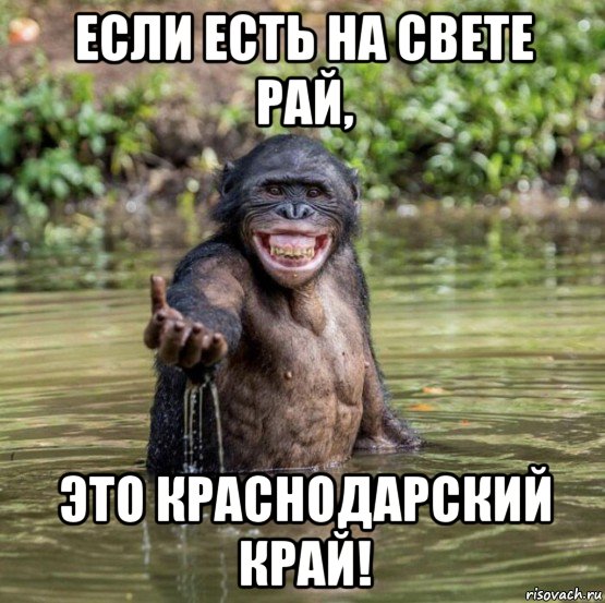 Многокартинок