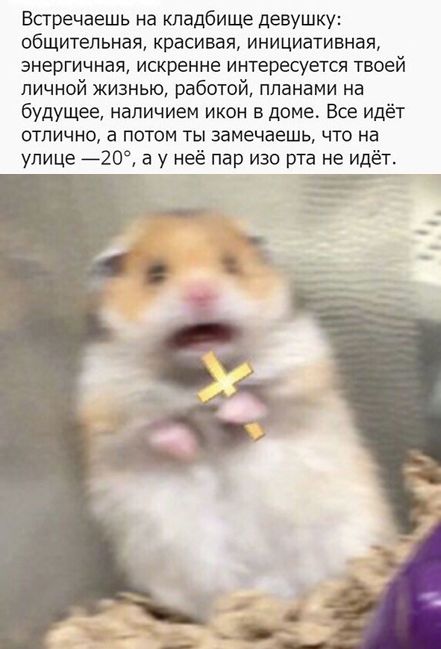 Сладких снов