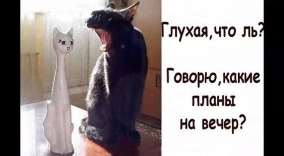 Кретинки