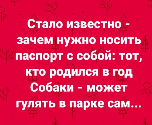 Немного картинок для настроения 11.04.20