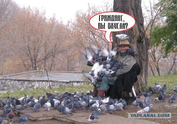 Фотожаба: Граждане!