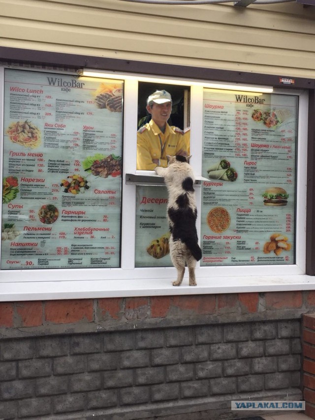 Крутые китайские мэны