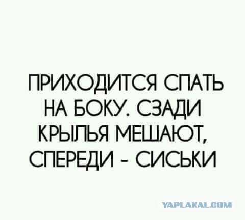 Бредзона 15.10.2020