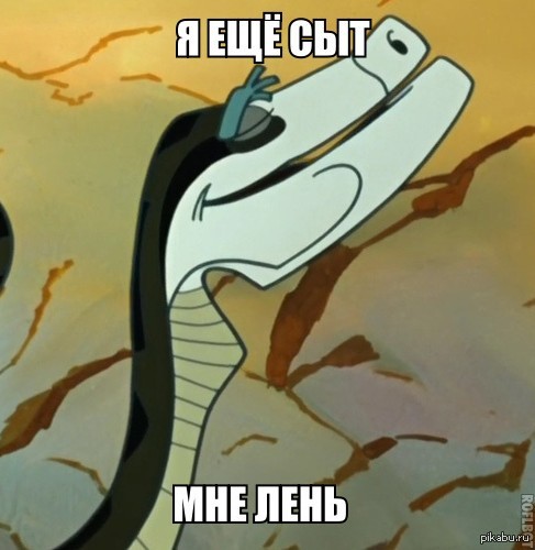 Мудрый Каа и дагестанские бандерлоги