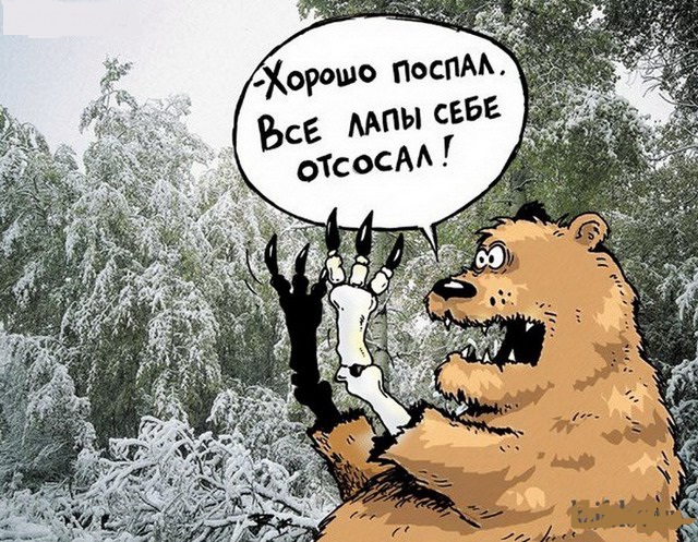 Медвежий уголок